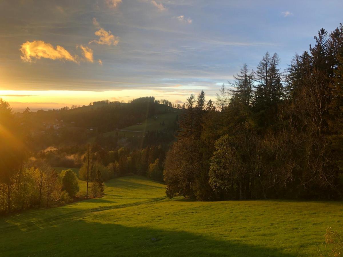 Hirschen Wald - Gasthaus & Baeckerei Dış mekan fotoğraf