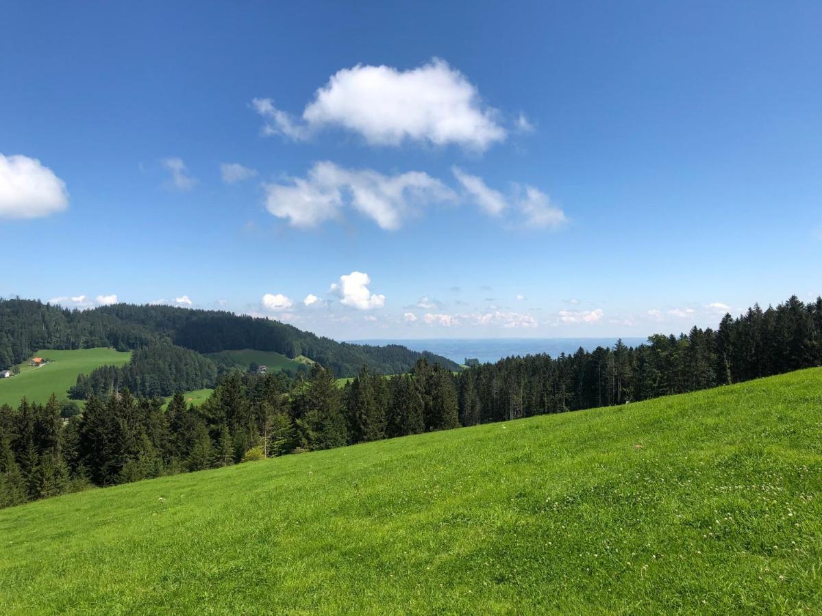 Hirschen Wald - Gasthaus & Baeckerei Dış mekan fotoğraf