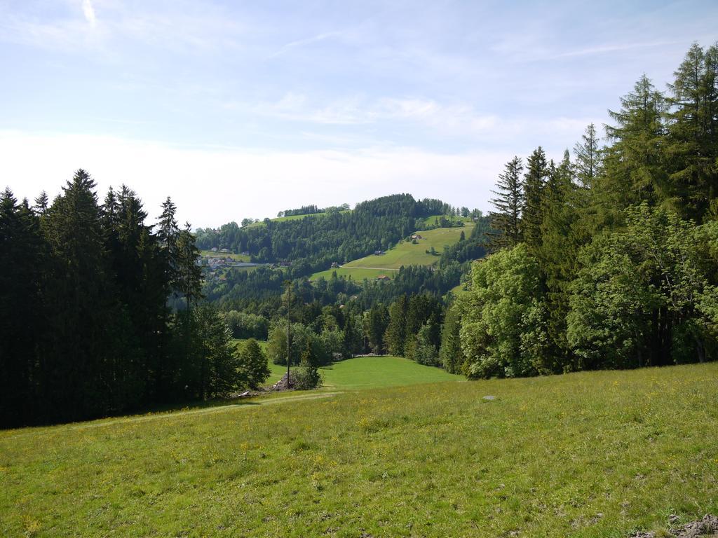 Hirschen Wald - Gasthaus & Baeckerei Dış mekan fotoğraf